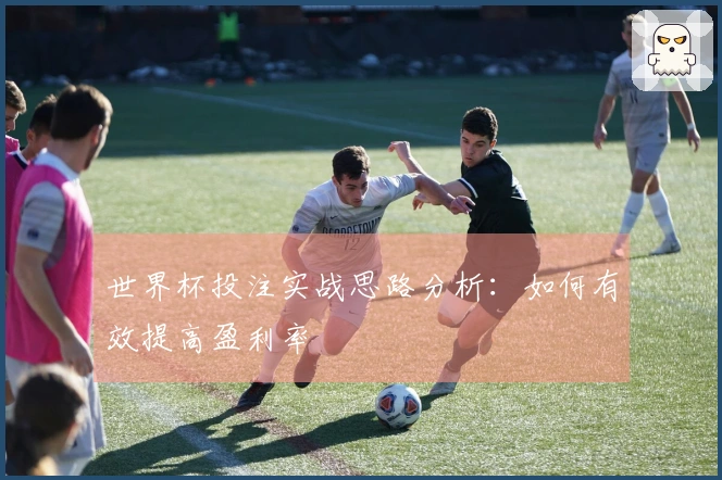 世界杯投注实战思路分析：如何有效提高盈利率
