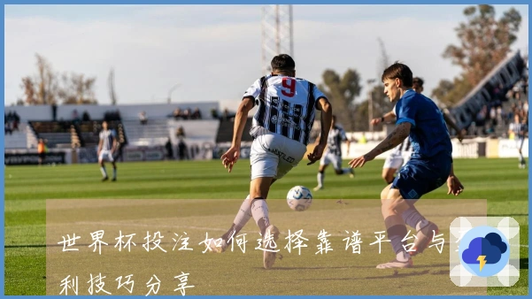世界杯投注如何选择靠谱平台与盈利技巧分享