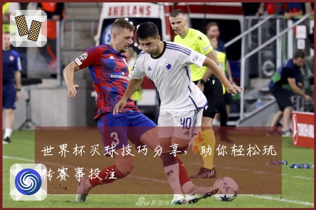 世界杯买球技巧分享，助你轻松玩转赛事投注