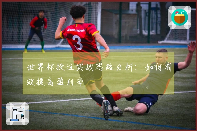 世界杯投注实战思路分析：如何有效提高盈利率