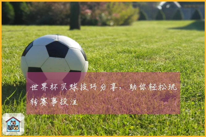 世界杯买球技巧分享，助你轻松玩转赛事投注