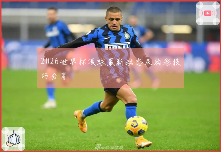 2026世界杯滚球最新动态及购彩技巧分享