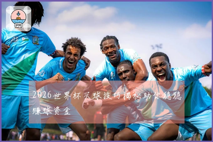 2026世界杯买球技巧揭秘助你稳稳赚球资金